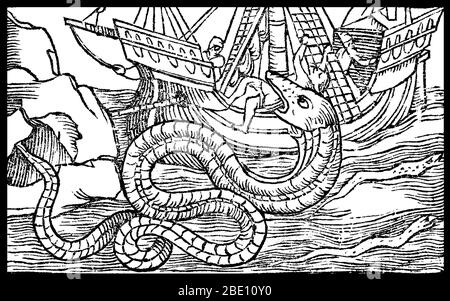 Sea monsters are sea-dwelling mythical or legendary creatures, often believed to be of immense size. Marine monsters can take many forms, including sea dragons, sea serpents, or multi-armed beasts. They can be slimy or scaly and are often pictured threatening ships or spouting jets of water. Image appeared in 'Historiae de gentibus septentrionalibus', 1557. Stock Photo