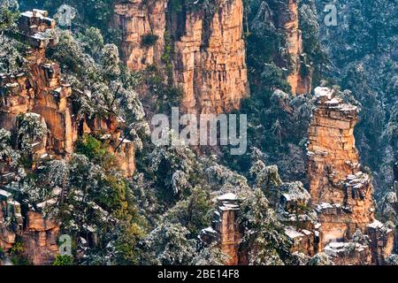 Snow covered forest trees on rocky mountain cliffs Stock Photo