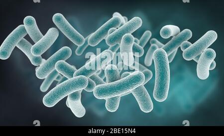 Rod shaped bacteria. 3D rendering Stock Photo