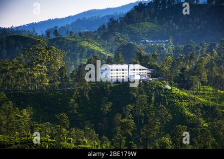A tea factory surrounded by tea plantations in Ella, Sri Lanka Stock Photo