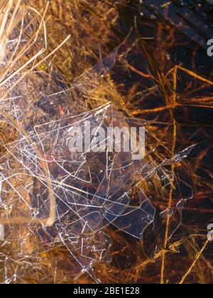 abstract picture background with dry grass, thin ice and water textures, the wind will be destroyed by ice on the coast Stock Photo