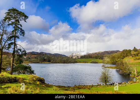 Loughrigg Tarn and the Langdale Pikes in the English Lake District Stock Photo