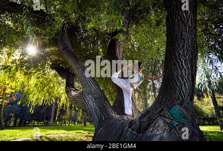 Beautiful Asian girl in white costume doing yoga on the big tree in the park Stock Photo
