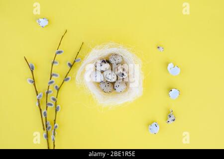 Decorative bird nest with many easter eggs on yellow background with willow branches. Easter concept. Stock Photo