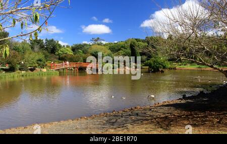 Japanese Gardens, Toowoomba, Stock Photo