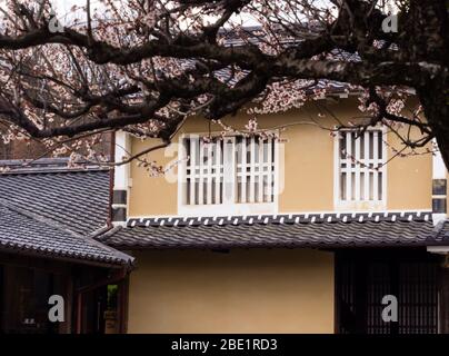 Detail of traditional Japanese merchant house in spring with cherry blossoms Stock Photo