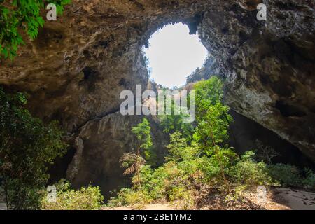 The light shining through trees from top to bottom inside the cave at Phraya Nakhon Cave National Park , Prachuap Khiri Khan , Thailand. Stock Photo