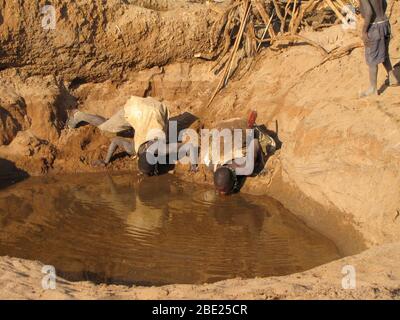 Hadza men drinking water from a muddy almost dry waterhole. Hadza are a small tribe of hunter gatherers AKA Hadzabe Tribe. Photographed at Lake Eyasi, Stock Photo