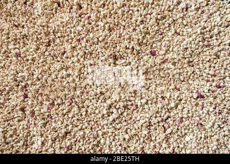 corn cob bedding for hamsters