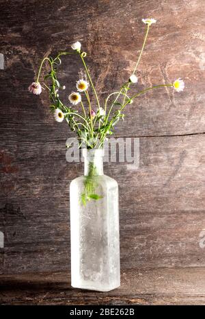 wild flowers arranged in an old bottle on a dark background Stock Photo