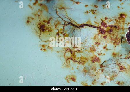 paint peeling off rusty metal Stock Photo