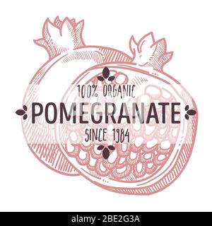 Pomegranate cut in half, sweet fruit menu label Stock Vector
