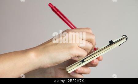 Female hands taking notes in a small notebook with a red pen. Stock Photo