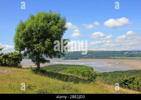 View From Arnside Knott National Trust Reserve Towards The Kent Estuary, Cumbria Stock Photo