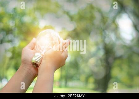 save power and good energy for nature, hand holding light bulb in park Stock Photo