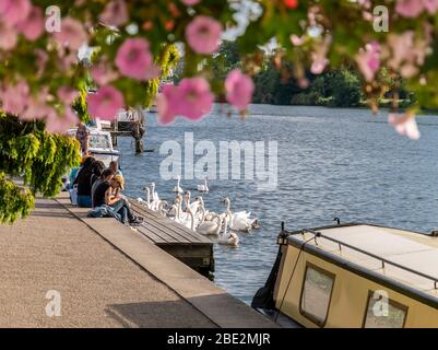 Kingston Upon Thames, London, England - August 24, 2019: Sunny day among river Thames with tourists sitting on the riverbank admiring the landscape an Stock Photo
