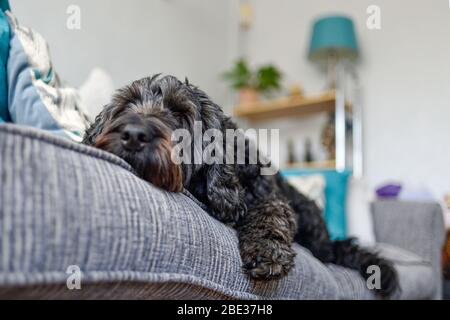 Coronavirus sign Stock Photo