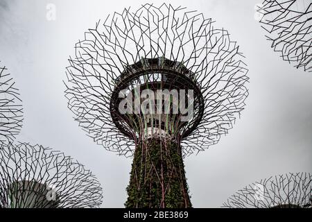 Singapore supertree grove, artificial trees on cloudy day - Singapur supertree grove, arboles artificiales en un día nublado Stock Photo