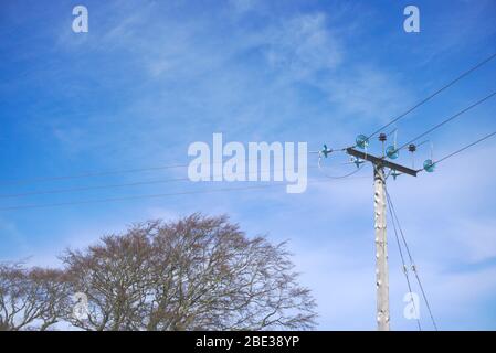 Power line, telegraph pole and tree against light clouds and blue sky in Scotland Stock Photo