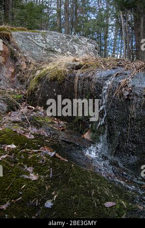 Water flows down a rocky hill during the spring thaw in the forest Stock Photo