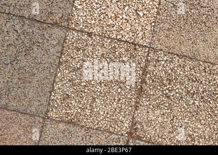 The background is made of paving tiles, the view from above. Stock Photo