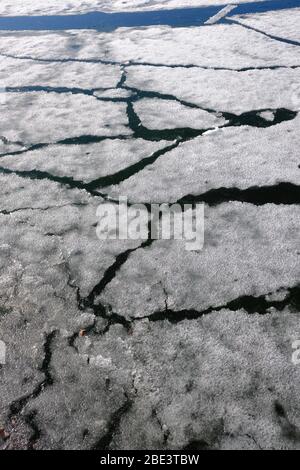 Ice sheets melting and cracking on Dow's Lake as the Spring approaches. Ottawa, Ontario, Canada. Stock Photo