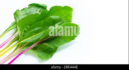Fresh swiss chard on a white background Stock Photo