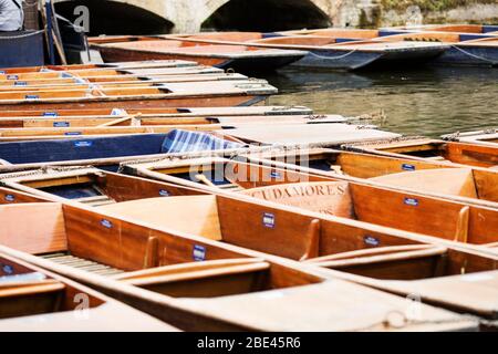 Punts lined up in the Cam River waiting for tourists to come take a ride in Cambridge, England, United Kingdom.