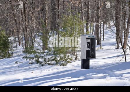 Vintage public phone booth in a remote forest during the winter. Communication technology in a park on a snowy day. Stock Photo