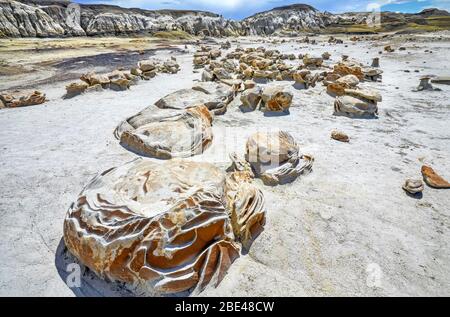 Unique and patterned rock surfaces, Bisti Badlands, Bisti/De-Na-Zin Wilderness, San Juan County; New Mexico, United States of America Stock Photo