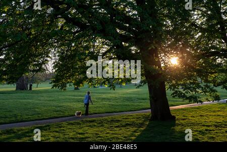 London, UK. 11th Apr, 2020. A woman walks her dog at the Primrose Hill in London, Britain on April 11, 2020. The death toll of those hospitalized in Britain who tested positive for the novel coronavirus reached 9,875 as of Friday afternoon, marking a daily increase of 917, the Department of Health and Social Care said Saturday. As of Saturday morning, the number of confirmed cases of COVID-19 in Britain hit 78,991, said the department. Credit: Han Yan/Xinhua/Alamy Live News