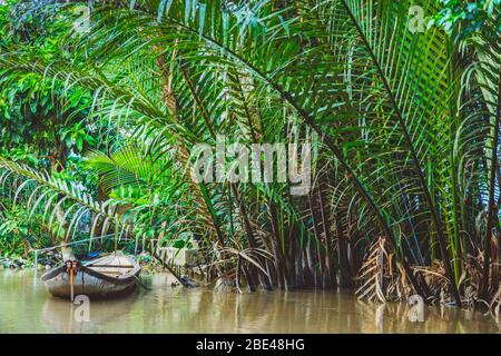 Boat in the river along the shore with lush fronds, Mekong River Delta; Vietnam Stock Photo