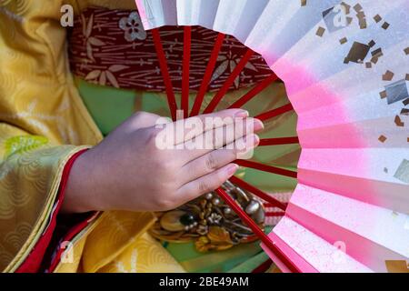 Portraits of a Maiko in Kyoto, Japan Stock Photo