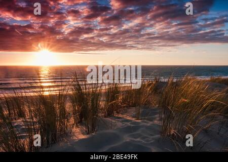 Sunset over a beach along the French Atlantic coastline, with dune grass in the foreground; Lacanau, France