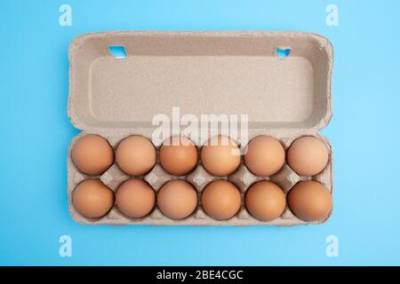 Dozen eggs in open carton on blue background. Top view with copy space Stock Photo
