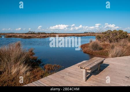 Empty wooden bench near lake in Australia Stock Photo
