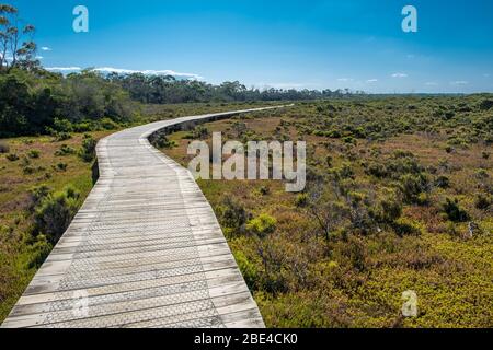 Winding boardwalk passing through Warringine Wetlands reserve in Hastings, Victoria, Ausralia Stock Photo