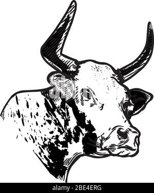 Illustration of cow with black and white texture Stock Vector