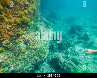 underwater sea bottom view Stock Photo