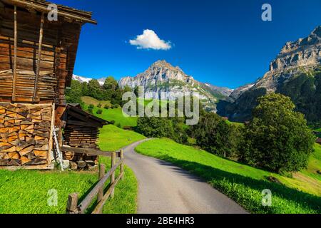 Narrow rural trail with wooden lodges, green fields and mountains in background, Grindelwald village, Bernese Oberland, Switzerland, Europe Stock Photo