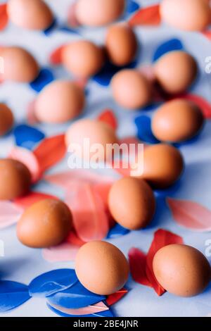 Chicken brown eggs and multicolored fluffy bird's feathers on light blue background. Happy Easter concept, flat lay composition. Top view. Stock Photo