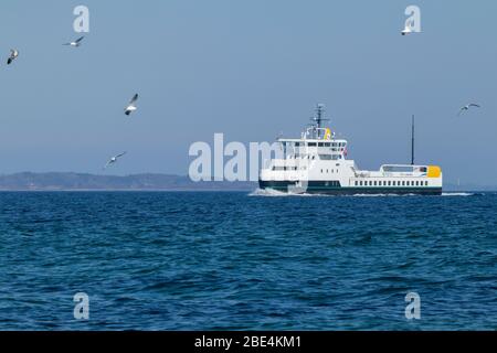 The 100 percent electric propelled domestic car and passenger ferry ELLEN passes Skjoldnæs on the northernmost tip of the Danish island Ærø. Stock Photo