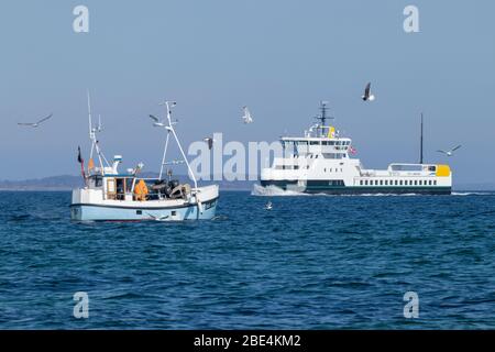The 100 percent electric propelled domestic car and passenger ferry ELLEN passes Skjoldnæs on the northernmost tip of the Danish island Ærø. Stock Photo
