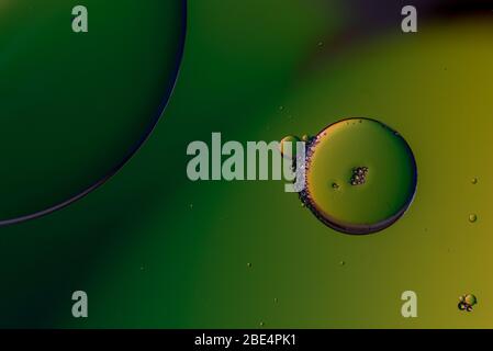 Abstract, image of oil, water and soap in a glass bowl with colourful background creating beautiful circle bubbles