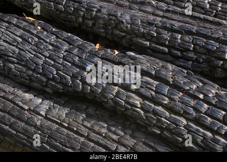 Texture of charred wooden wall Stock Photo