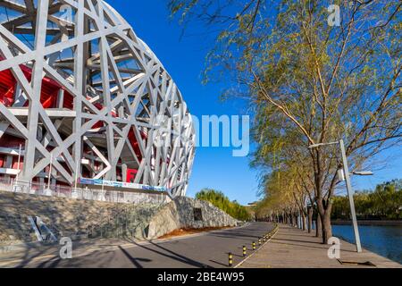 View of the National Stadium 'Bird's Nest' Olympic Green, Beijing, Xicheng, People's Republic of China, Asia Stock Photo