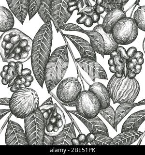 Hand drawn sketch walnut seamless pattern. Organic food vector illustration on white background. Retro nut illustration. Engraved style botanical back Stock Vector