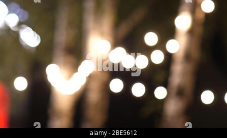 Blurred lights on trees in a park background. Stock Photo