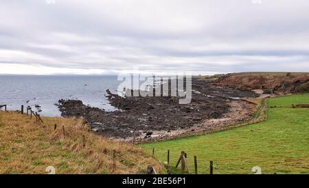 Fife Coastal Path from Lower Largo to St Monans - Scotland, UK Stock Photo