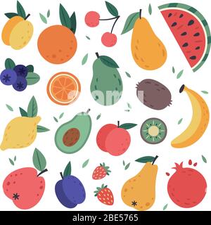 Hand drawn fruits. Doodle harvest, citrus, avocado and apple, natural vegan sweet summer fruits. Tropical organic fruit, delicious kitchen food vector Stock Vector